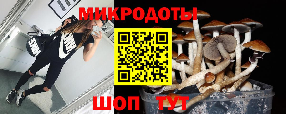Псилоцибиновые грибы Magic Shrooms Орехово-Зуево