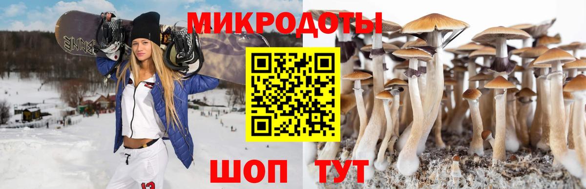 Галлюциногенные грибы Psilocybe  Вход с VPN  Орехово-Зуево  Псилоцибиновые грибы Cubensis 